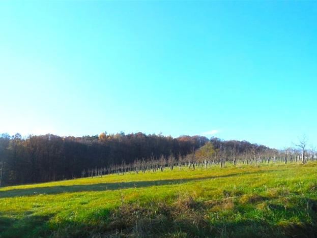 Prodej pozemku pro bydlení, Fryšták, 1000 m2