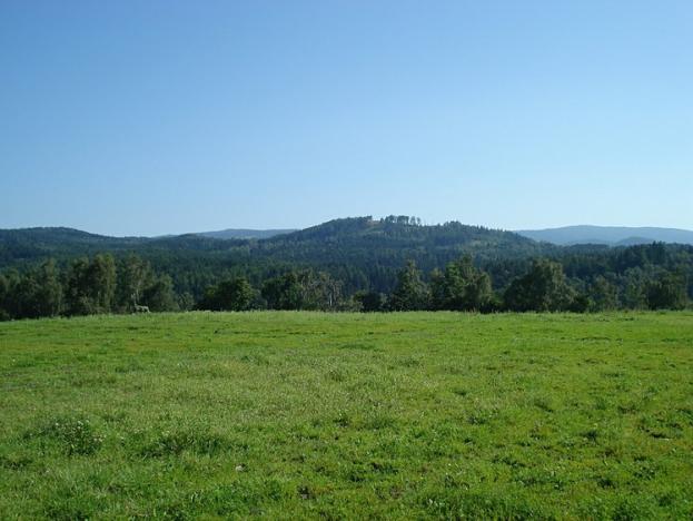 Prodej trvalého travního porostu, Nová Role, 73939 m2