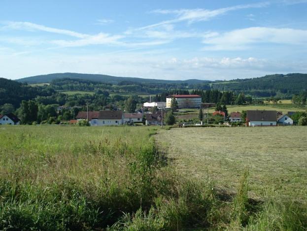 Prodej trvalého travního porostu, Bělá nad Radbuzou, 23629 m2
