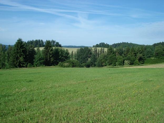 Prodej trvalého travního porostu, Bělá nad Radbuzou, 23629 m2