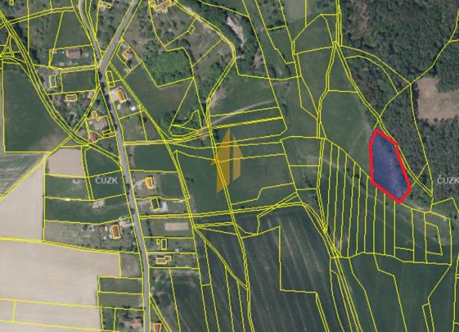 Prodej trvalého travního porostu, Holín, 3562 m2