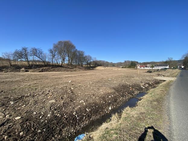 Prodej pozemku pro komerční výstavbu, Děpoltovice, 2280 m2