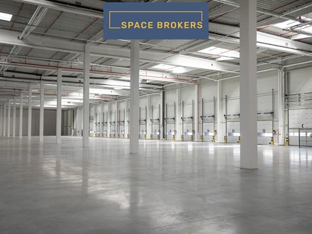 Pronájem skladu, Hladké Životice, 29255 m2