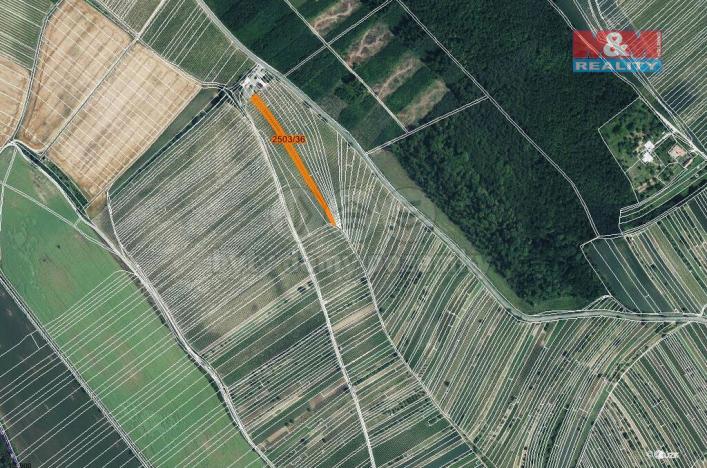 Prodej zemědělské půdy, Dolní Bojanovice, 2497 m2