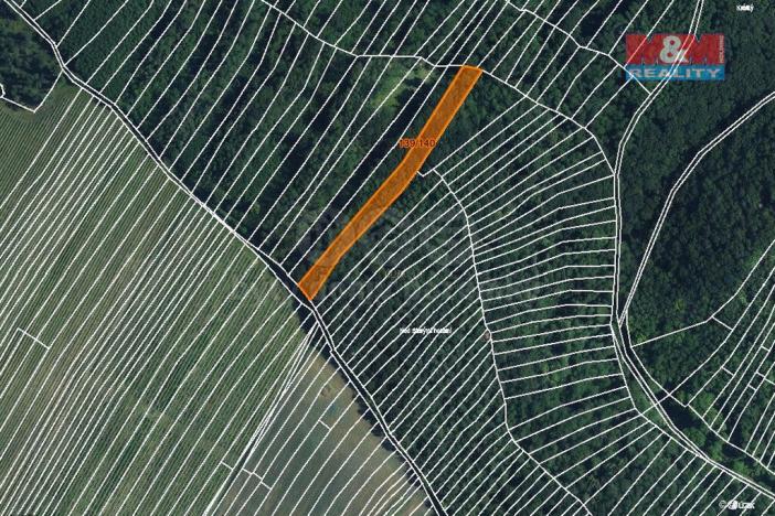 Prodej lesa, Horní Bojanovice, 3219 m2