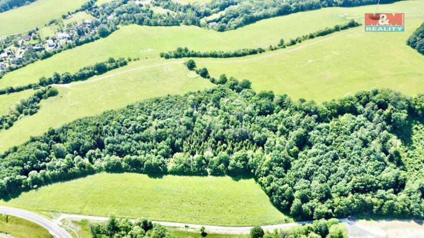 Prodej lesa, Vyšehoří, 12990 m2