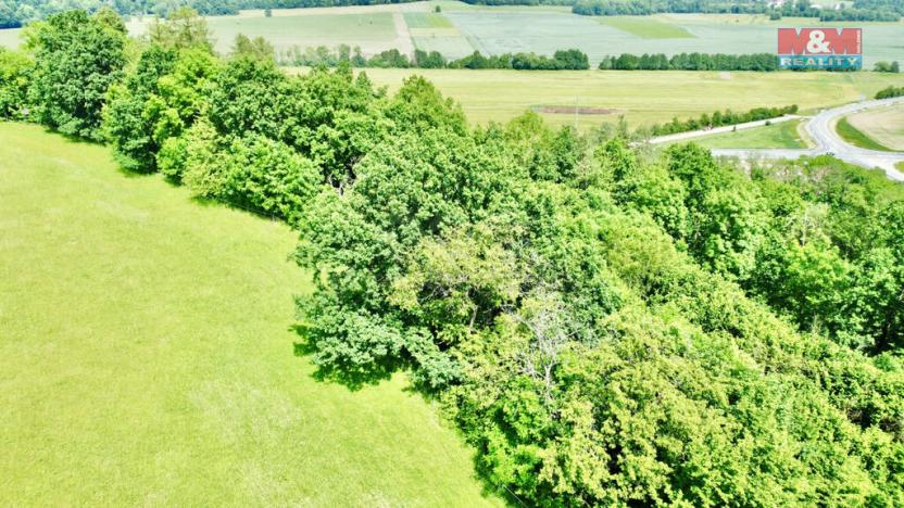 Prodej lesa, Vyšehoří, 12990 m2