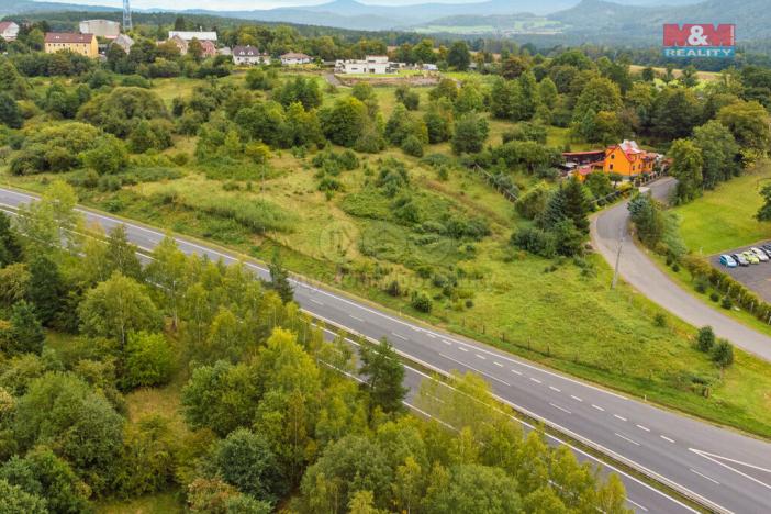 Prodej komerčního pozemku, Dalovice - Všeborovice, 4612 m2