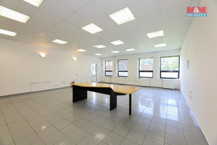 Pronájem obchodního prostoru, Staré Město, Brněnská, 607 m2