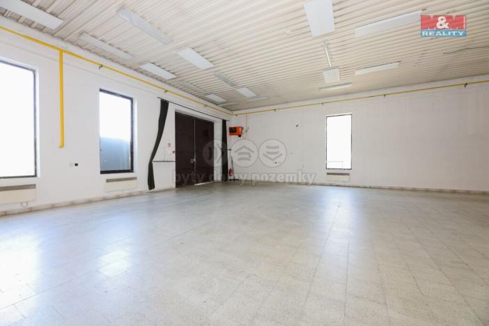 Pronájem obchodního prostoru, Staré Město, Brněnská, 607 m2