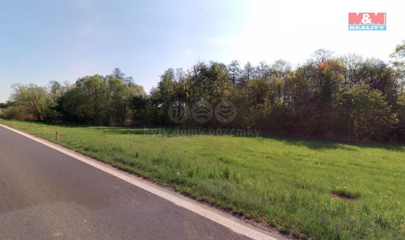 Prodej lesa, Blíževedly, 13318 m2