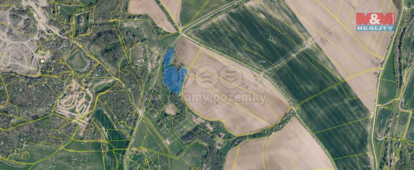 Prodej lesa, Blíževedly, 13318 m2