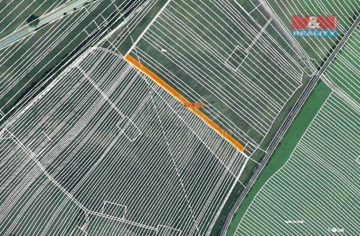 Prodej pole, Hrušky, 243 m2