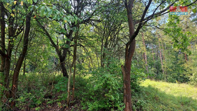 Prodej chaty, Úštěk, 86 m2