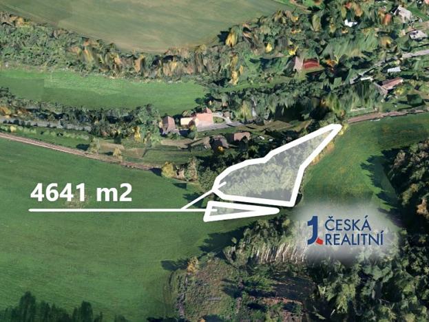 Prodej lesa, Stará Paka, 4641 m2