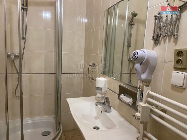 Pronájem bytu 4+kk, Plzeň - Vnitřní Město, Zbrojnická, 110 m2