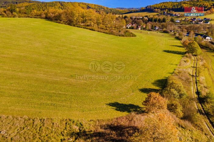 Prodej zemědělské půdy, Kolinec, 6484 m2