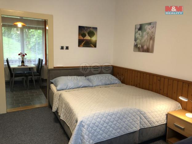 Prodej ubytování, Česká Skalice - Zlíč, 247 m2