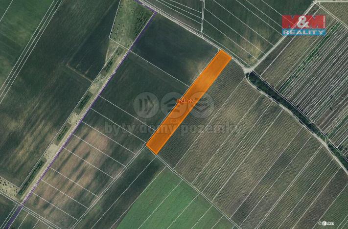 Prodej zemědělské půdy, Hrušky, 612 m2