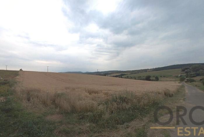 Prodej zemědělské půdy, Medlovice, 4802 m2