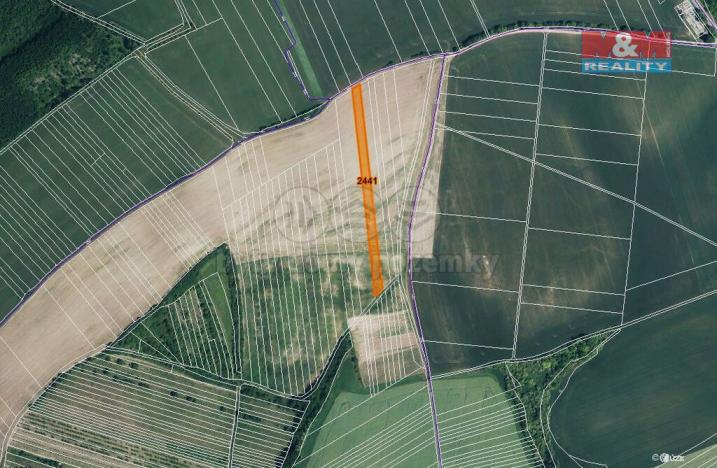 Prodej zemědělské půdy, Stavěšice, 719 m2