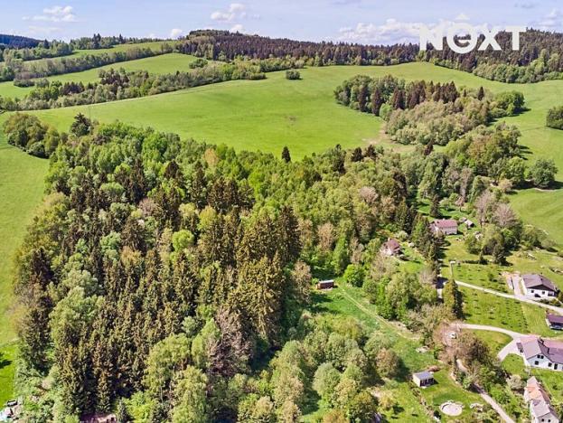 Prodej pozemku pro bydlení, Hořice na Šumavě, 1300 m2