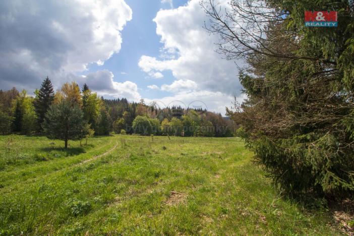 Prodej trvalého travního porostu, Velenov, 3586 m2