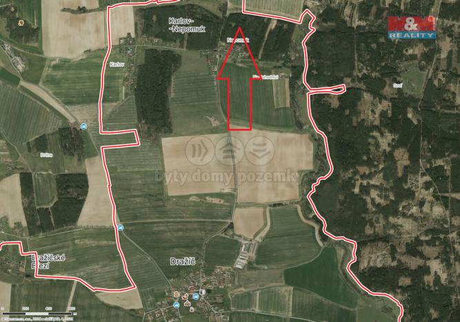 Prodej lesa, Dražíč, 5161 m2