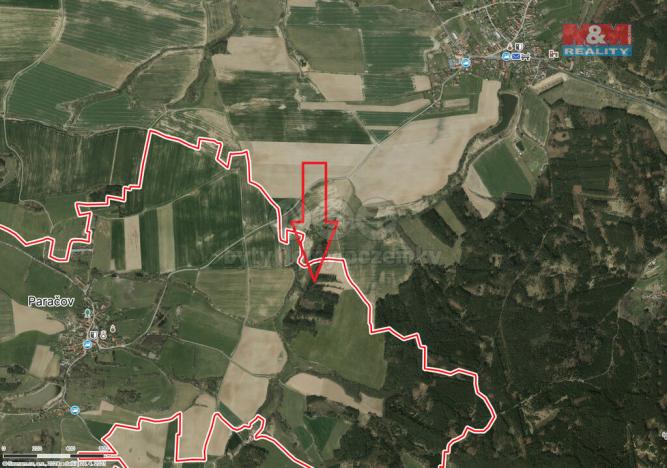 Prodej lesa, Paračov, 11147 m2