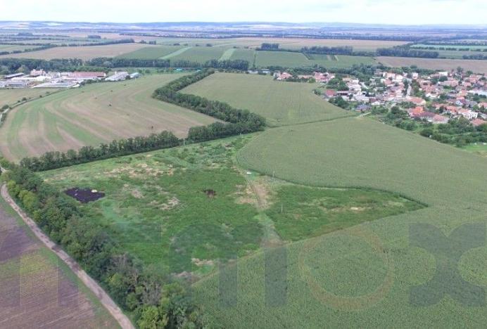 Prodej pozemku pro komerční výstavbu, Troskotovice, 28136 m2