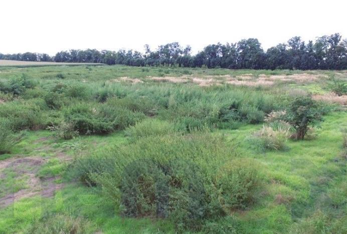 Prodej pozemku pro komerční výstavbu, Troskotovice, 28136 m2