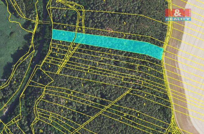 Prodej lesa, Lužná, 9036 m2