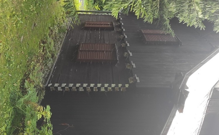 Prodej chalupy, Bělá pod Pradědem, 380 m2