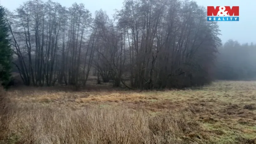 Prodej trvalého travního porostu, Oselce - Kotouň, 19732 m2