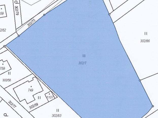 Prodej trvalého travního porostu, Štěchovice, 4332 m2