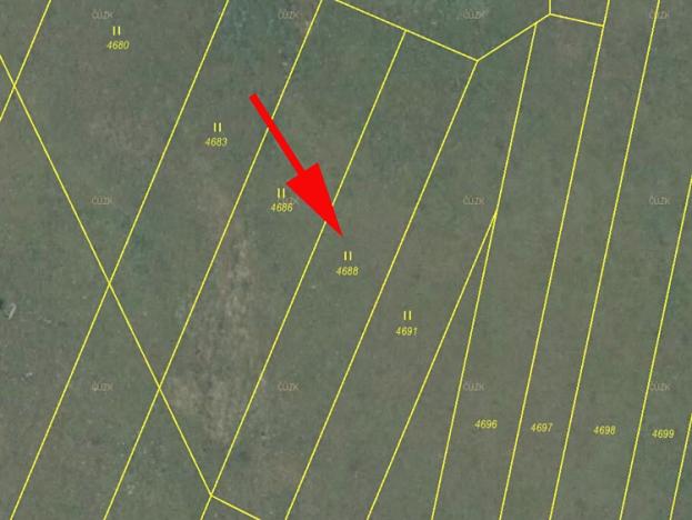 Prodej podílu trvalého travního porostu, Korytná, 735 m2