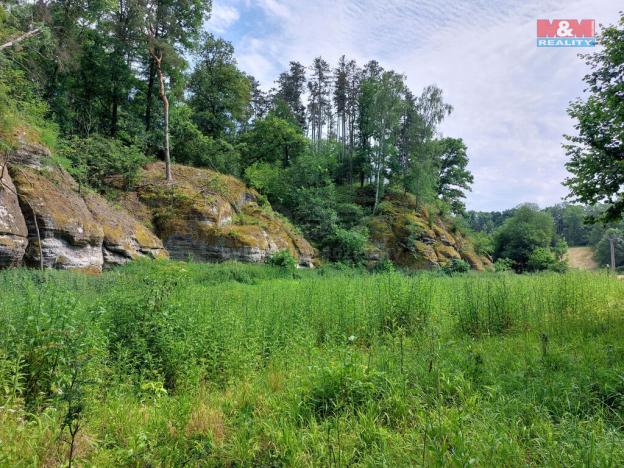 Prodej louky, Vysoká, 1003 m2