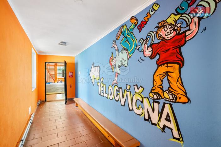 Prodej obchodního prostoru, Ústí nad Labem - Střekov, Truhlářova, 3086 m2