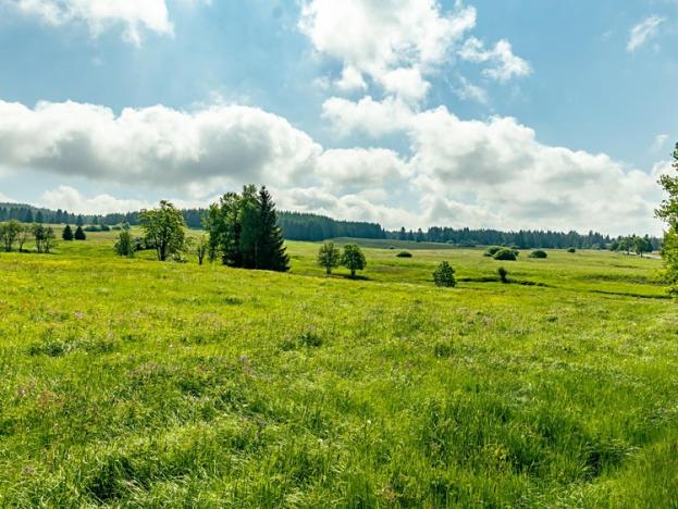 Prodej pozemku pro bydlení, Horní Blatná, Perninská, 1347 m2