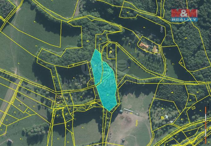 Prodej lesa, Lhotsko, 7802 m2