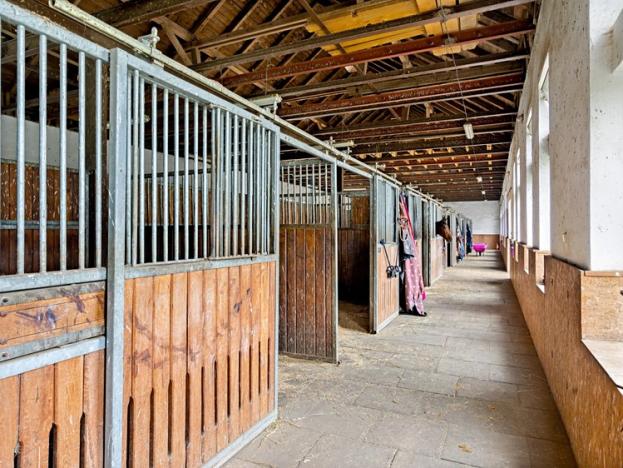 Prodej - jiné, Velké Chvojno, 1241 m2