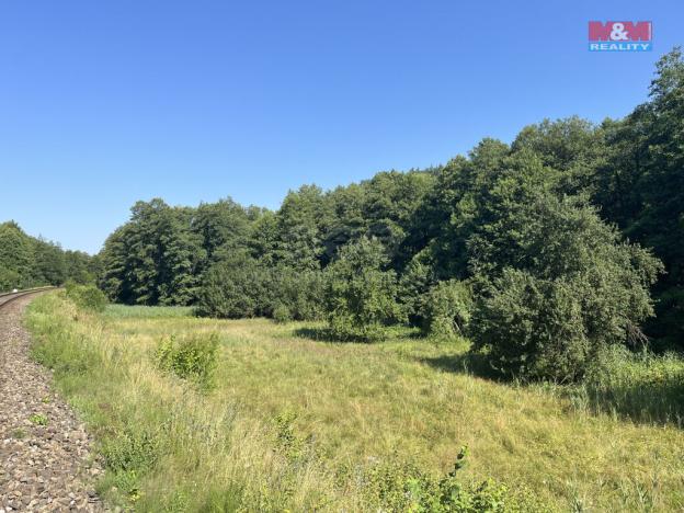 Prodej trvalého travního porostu, Bakov nad Jizerou - Malý Rečkov, 5874 m2