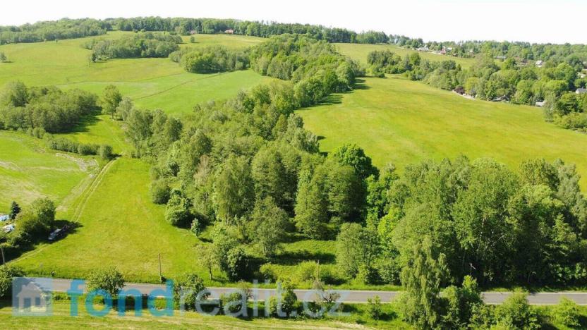 Prodej pozemku, Staré Křečany, 9428 m2