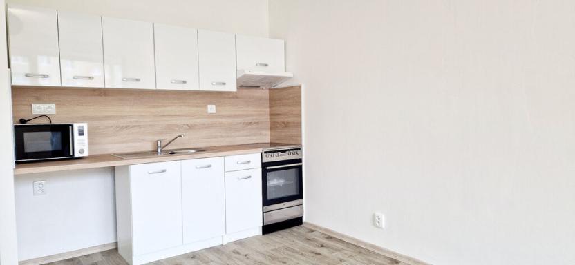 Pronájem bytu 1+kk, Havířov - Šumbark, Letní, 30 m2