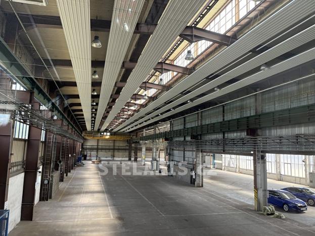 Pronájem výrobních prostor, Benešov, Černoleská, 3000 m2