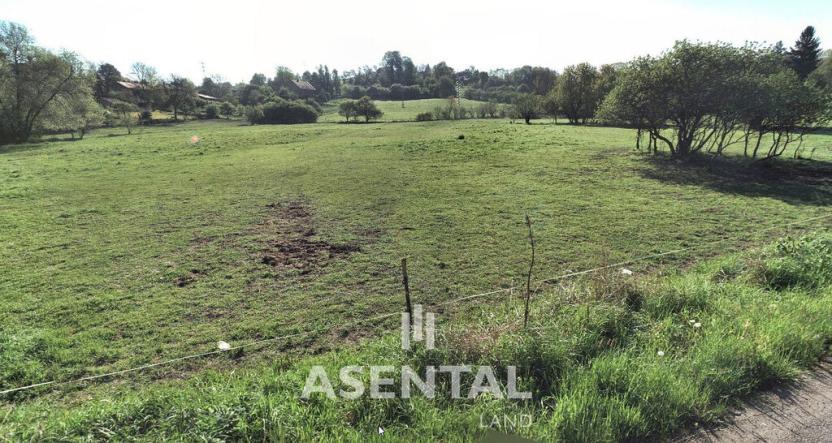 Prodej zahrady, Hustopeče nad Bečvou - Poruba, 11795 m2