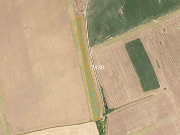 Prodej zemědělské půdy, Střížovice, 10880 m2