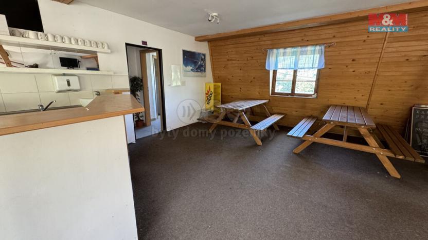 Prodej komerční nemovitosti, Plavy, 180 m2