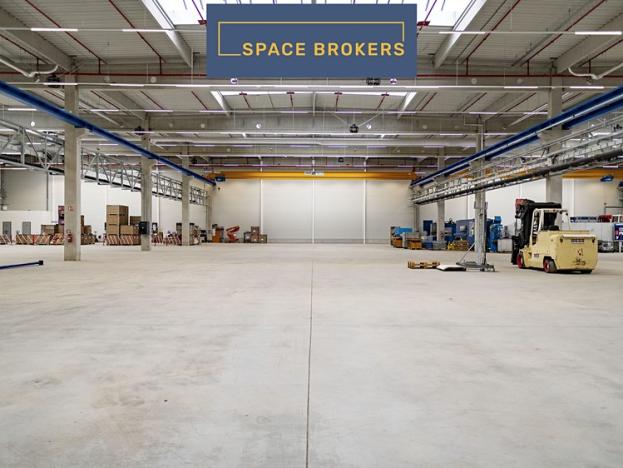 Pronájem skladu, Cerhovice, 14000 m2