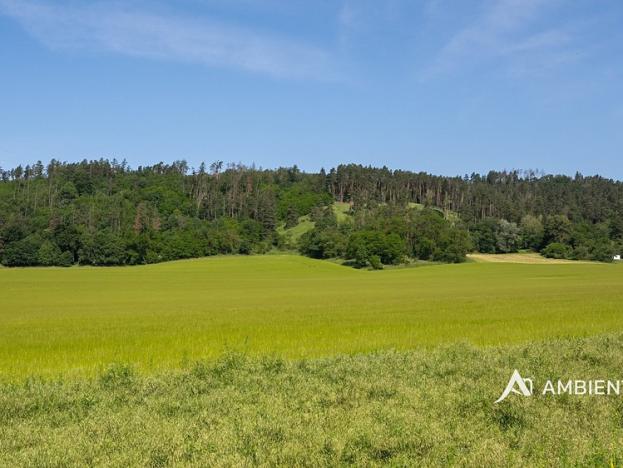 Prodej pozemku pro bydlení, Drásov, 3364 m2